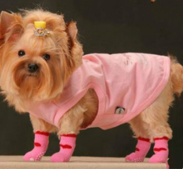 2 Pairs Cute Puppy Dogs Pet Knitted Anti-slip Socks(Pink Rabbit)