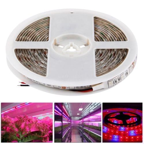5m SMD 5050 4:1 Red + Blue LED Plant Grows Lamp
