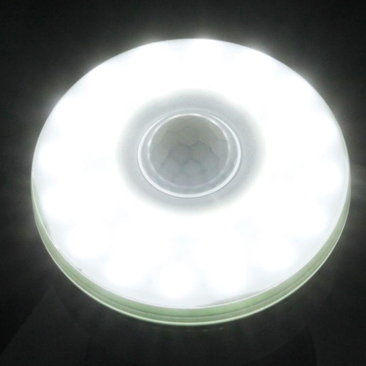 6W Human Sensor Light Lamp