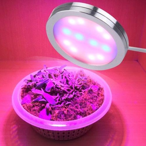 SMD-2835 6W Red Light + Blue Light USB Plant Growth Light