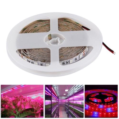5m SMD 5050 5:1 Red + Blue LED Plant Grows Lamp