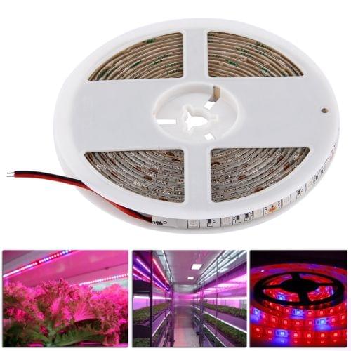 5m SMD 5050 5:1 Red + Blue Plant Grows Lamp