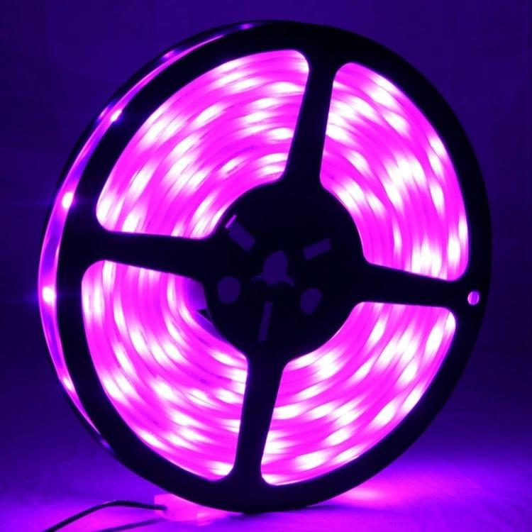 Casing Waterproof  Light Strip,  Length: 5m