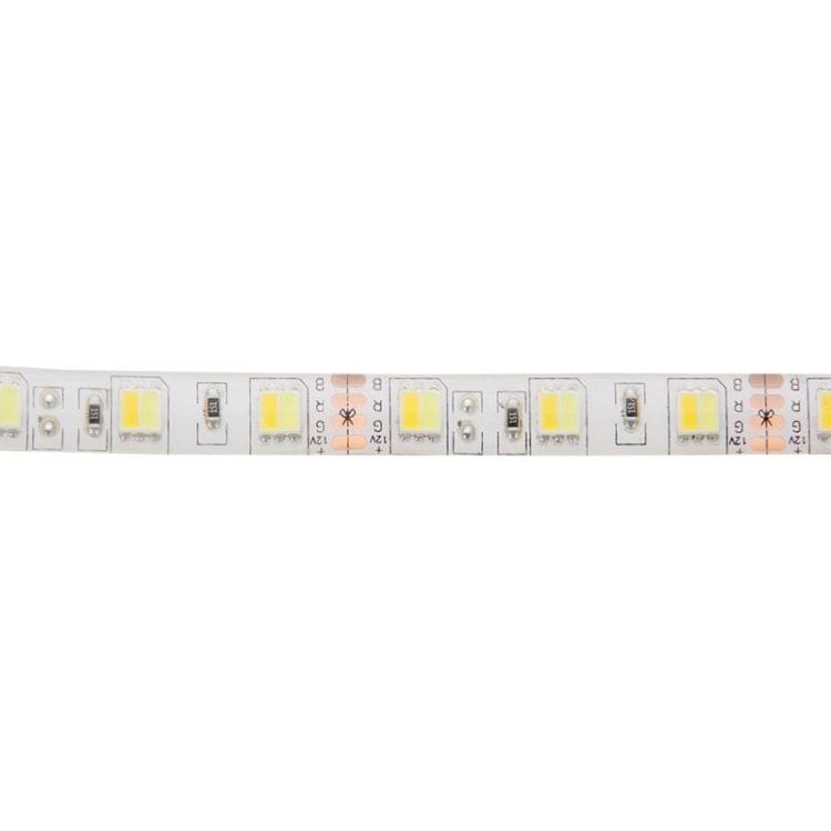 White & Warm White Light LED Light Strip