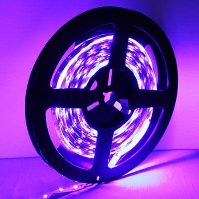 Bare Board  Rope Light, Length: 5m