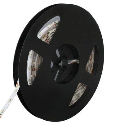 4.8W Bare Board Rope Light, Length: 5m