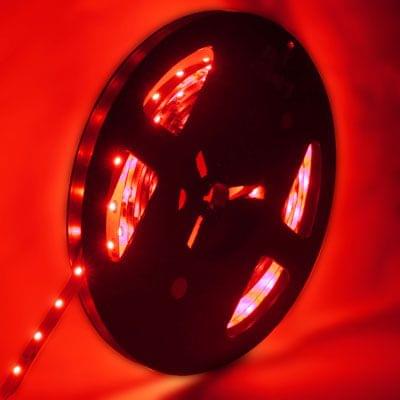 4.8W Bare Board Rope Light, Length: 5m