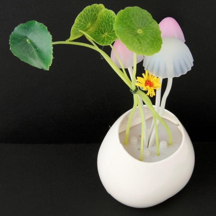 Avatar Mushroom LED Night Light