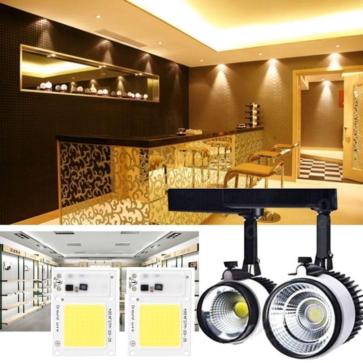 2 PCS 50W 2800-6000K High Power Brightness COB Chips LED Light Beads, AC 220V (White Light)