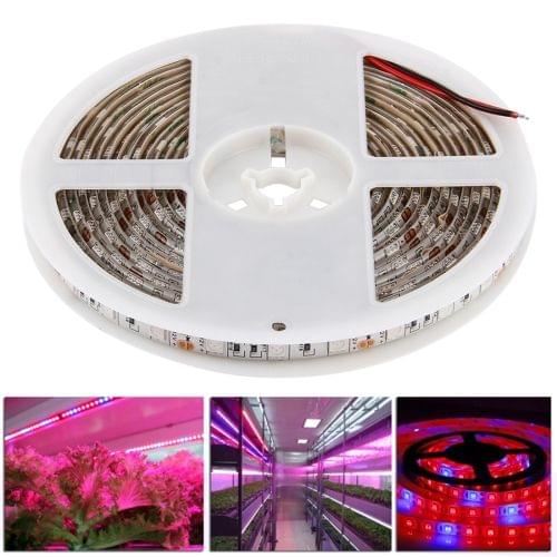 5m SMD 5050 3:1 Red + Blue LED Plant Grows Lamp