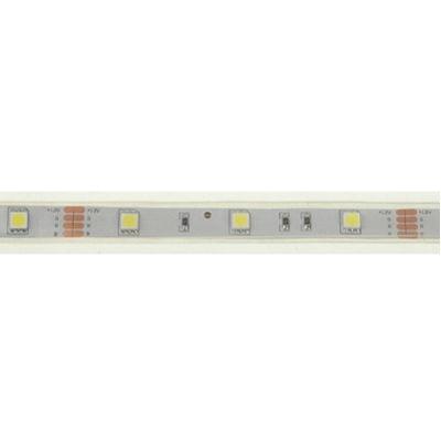 Casing Waterproof Rope Light, Length: 5m