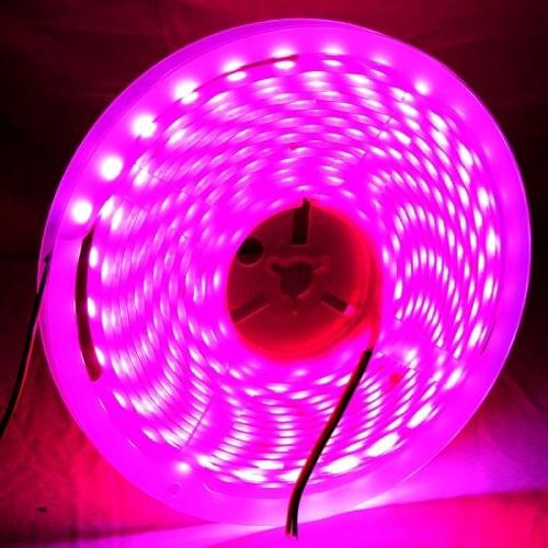14W LED Rope Light