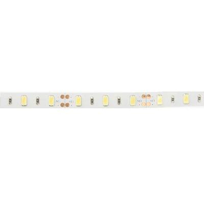 20W Bare Board Rope Light, Length: 5m