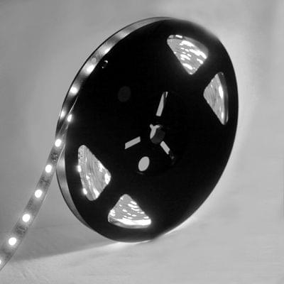 20W Bare Board Rope Light, Length: 5m