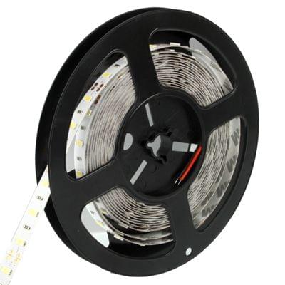 20W Bare Board Rope Light, Length: 5m