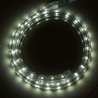 Casing Waterproof Rope Light, Length: 1m