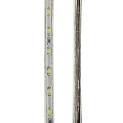 Casing Waterproof Rope Light, Length: 1m