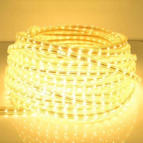 Casing Waterproof LED Light Strip, Length: 5m