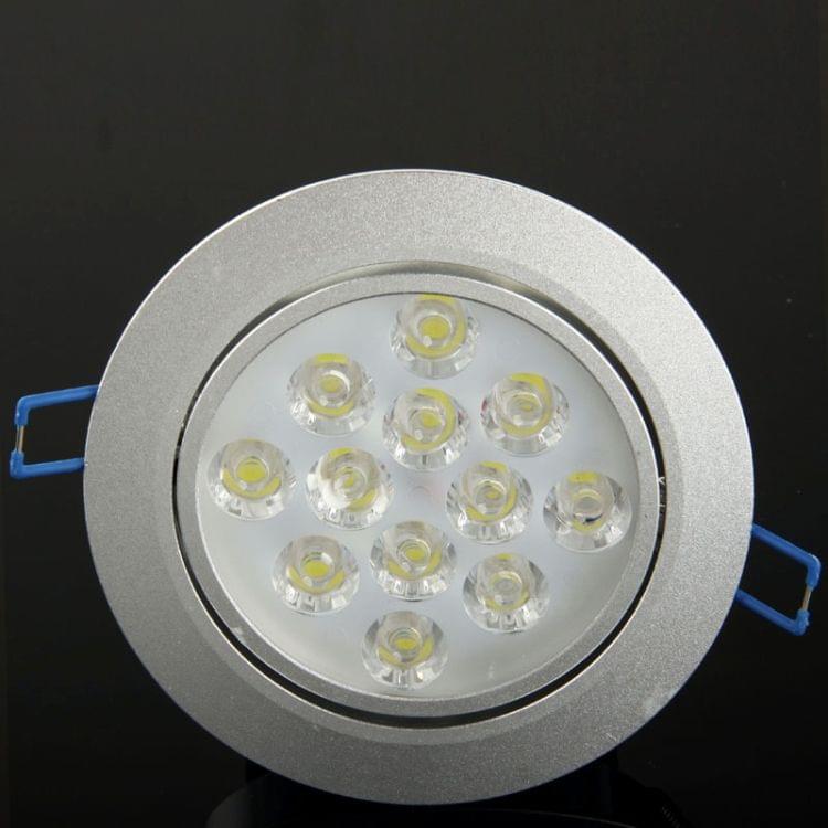 12W Ceiling Lights LED Down Light Bulb