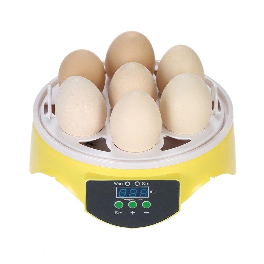7 Eggs Mini Digital Egg Incubator Hatcher Transparent Eggs Hatching Machine Automatic Temperature Control for Chicken Duck Bird Eggs AC110V