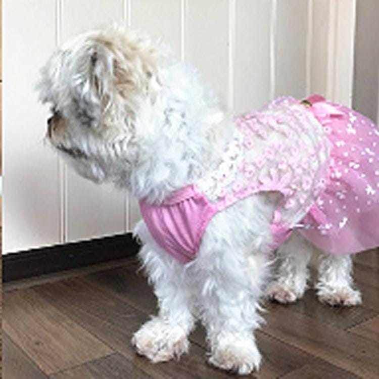 AB060 Lovely Cat Dress Lace Wedding Skirts Dresses for Pets Party Costume, Size:L (Blue)