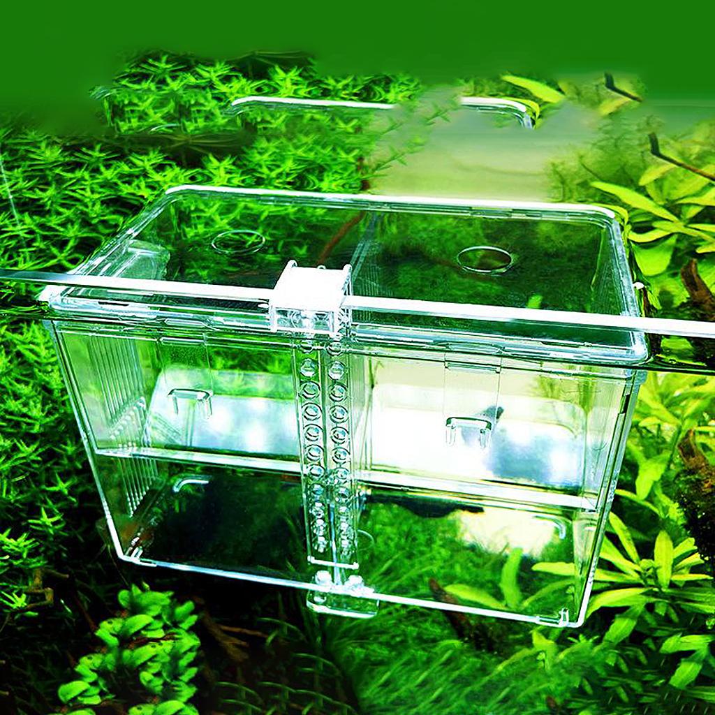 Hang Breeding Box Aquarium Fishes Fry Breeder Acclimation Hatchery Incubator