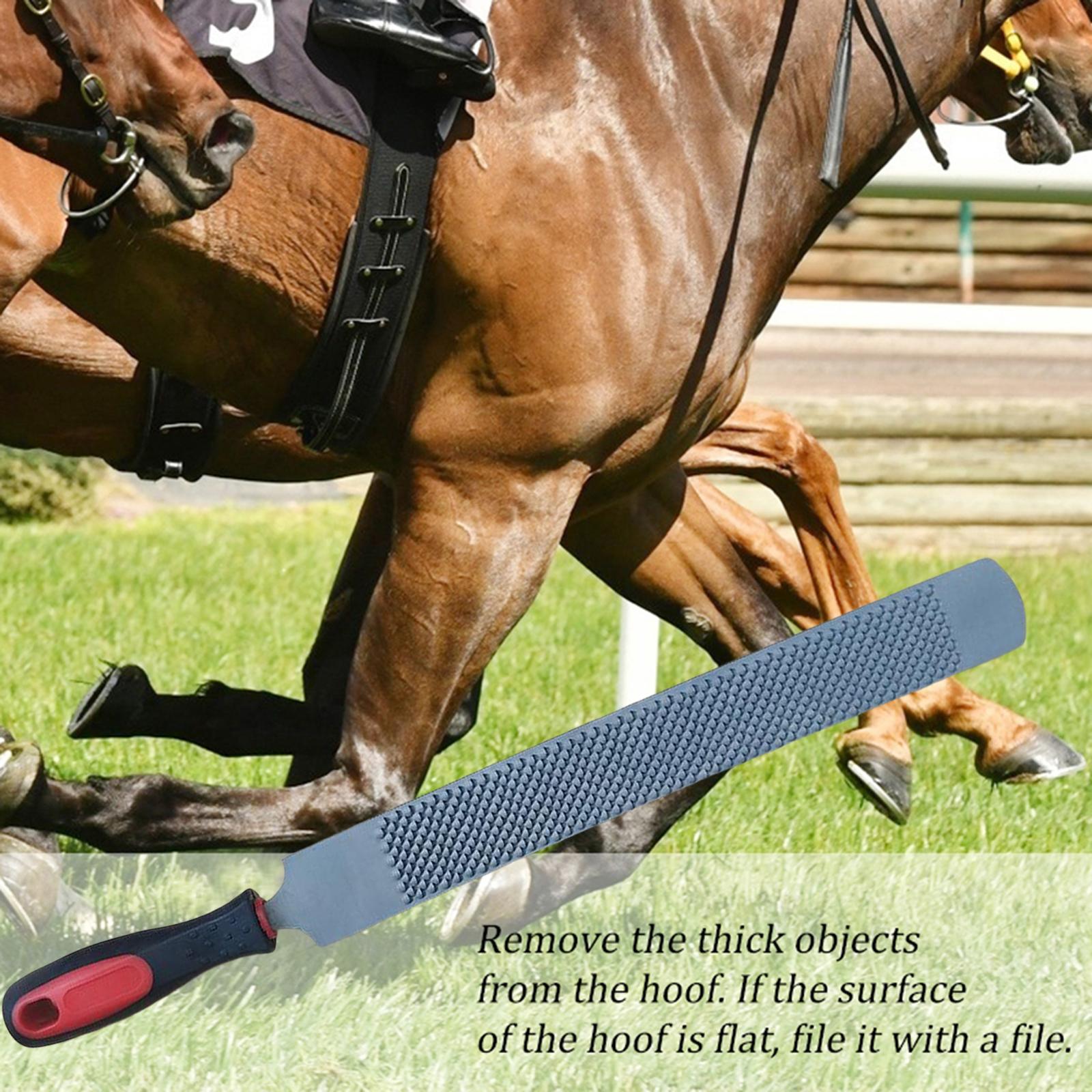 18inch Iron Horse Hoof Rasp Double Sided Hoof Cutter Knives