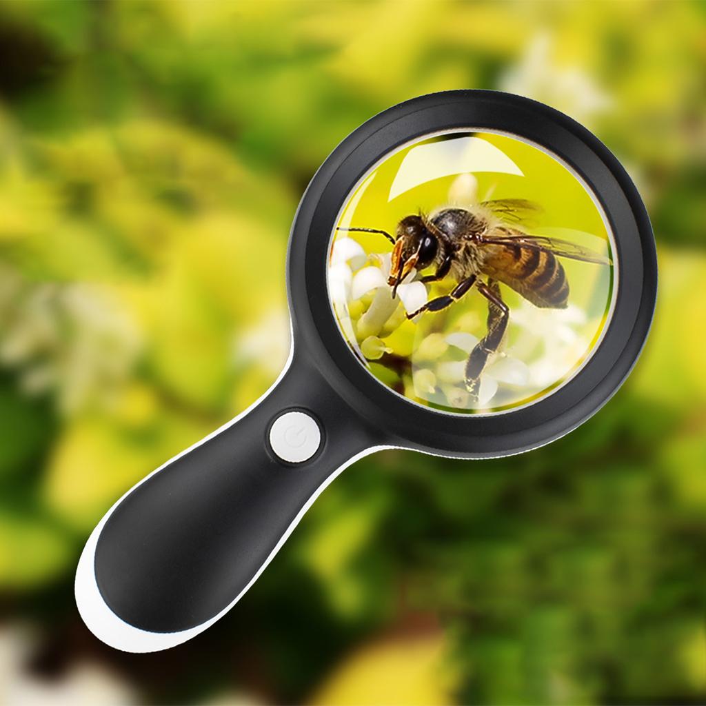 Small Handheld Magnifier with 18 LED Light for Seniors Children Books  Black
