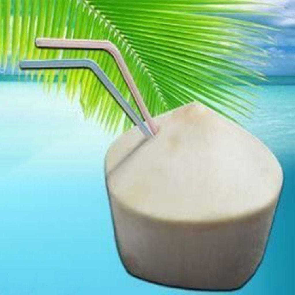 Practical Coconut Opener Tool Punch Tap Knife Drill for Fresh Coconut Water