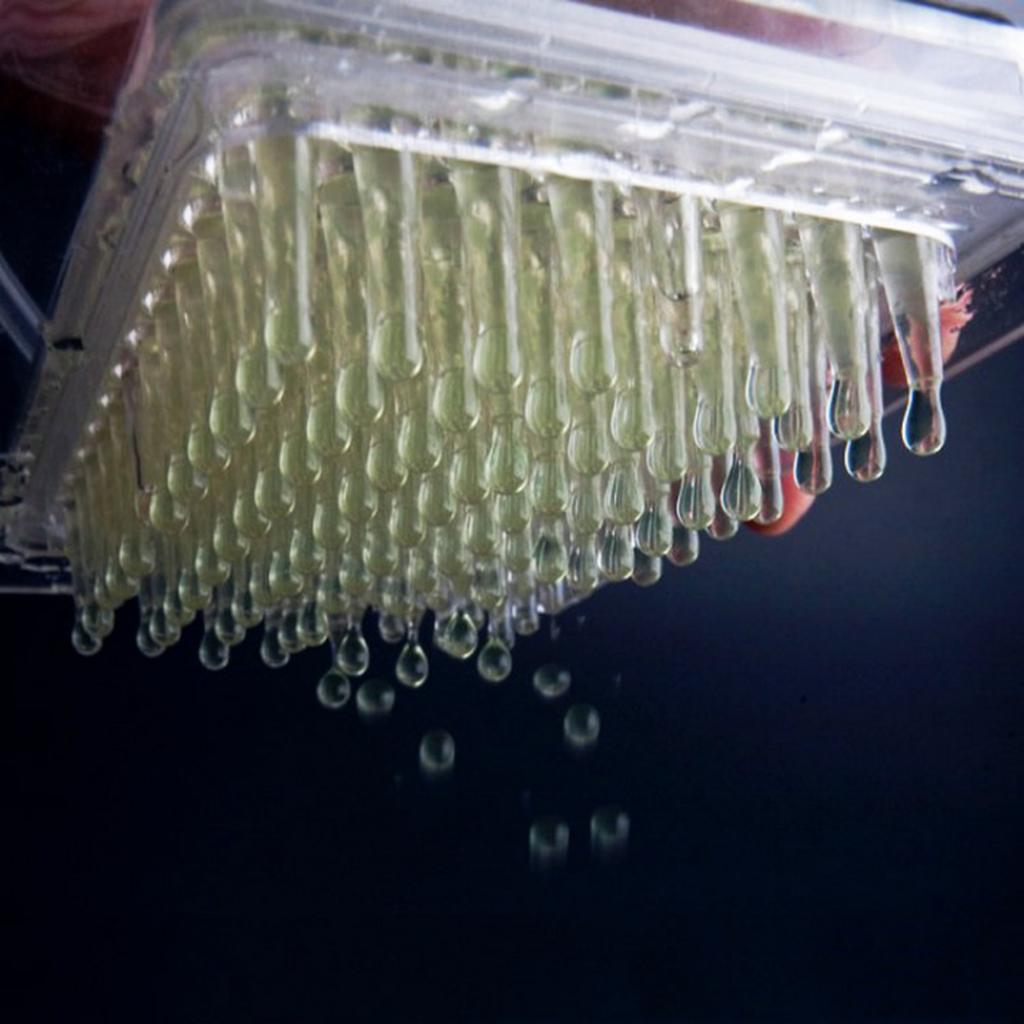 Caviar Generator 96 holes Molecular Gourmet Tools Caviar Strainer and Spoon