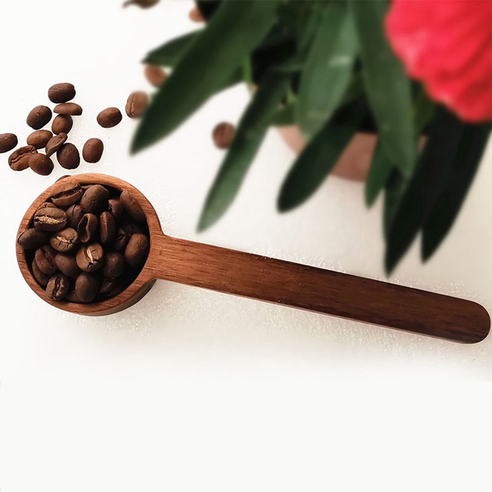 Coffee Measuring Spoon Tablespoon Walnut Wooden Scoop Coffee Tea Baking