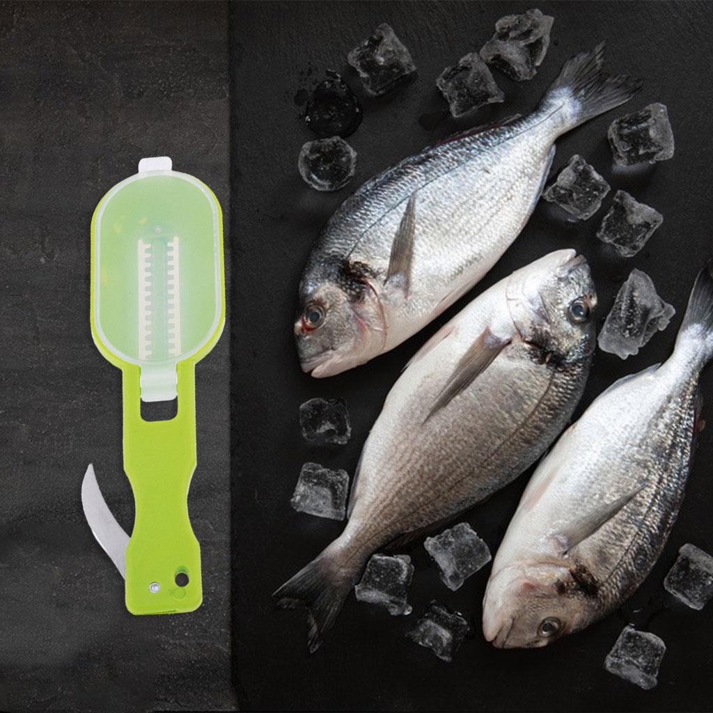 Multifuntion Practical Fish Scaler Brush Easily Remove Scraper Easily Remove Green