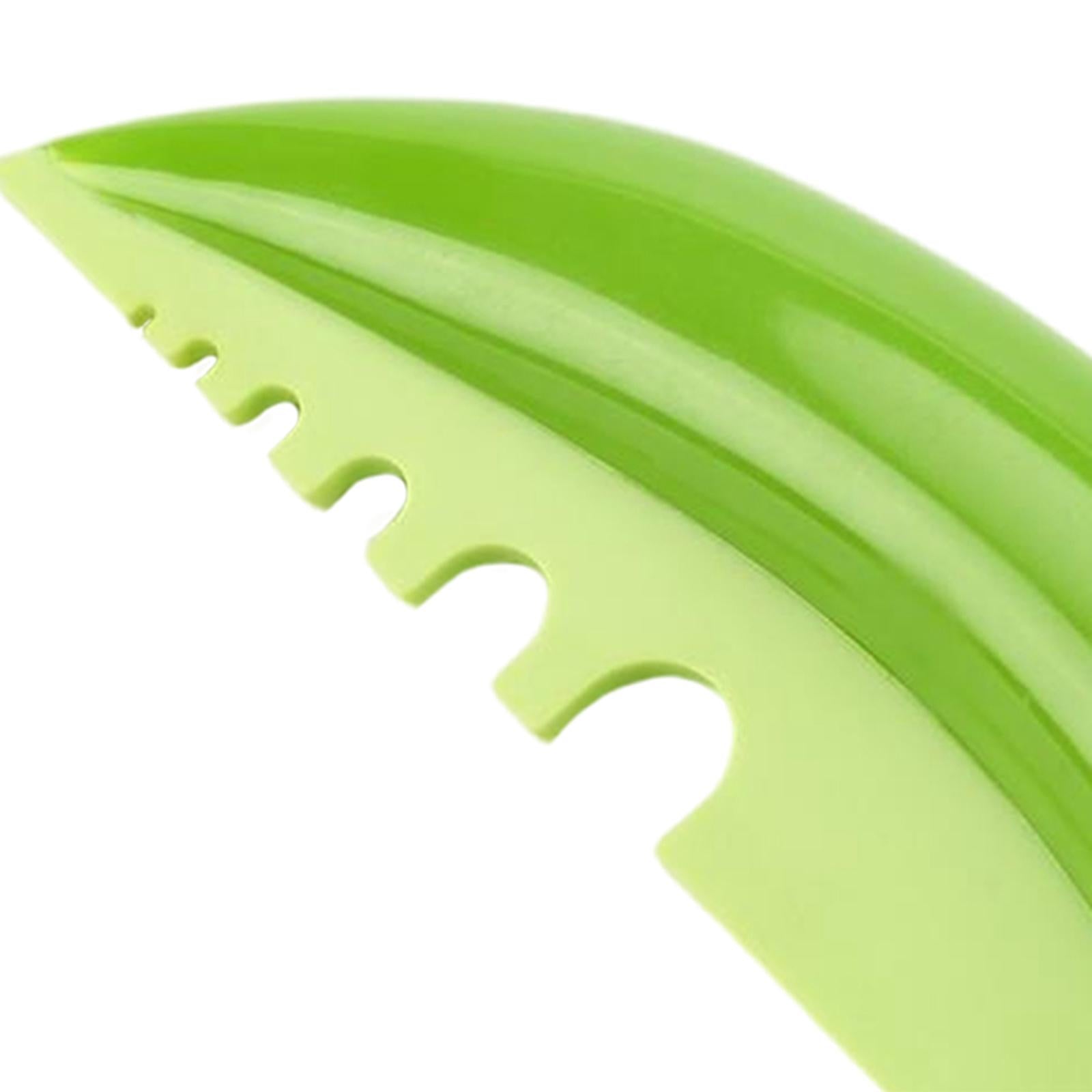 Herb Stripper Tool Comb Shape Peelers 6 Holes for Chopping Chive Rosemary