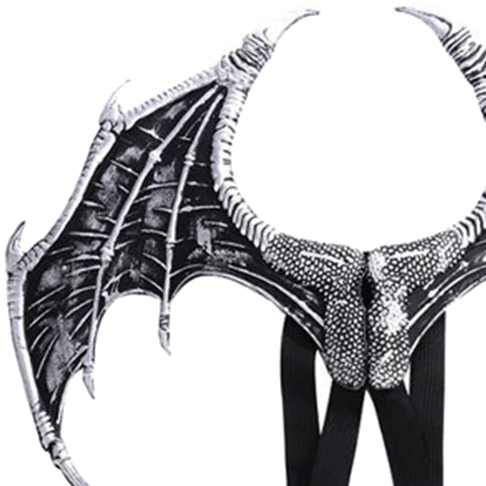 Halloween Dragon Wing Devil Costume for Girls Boys Teens Silver Black