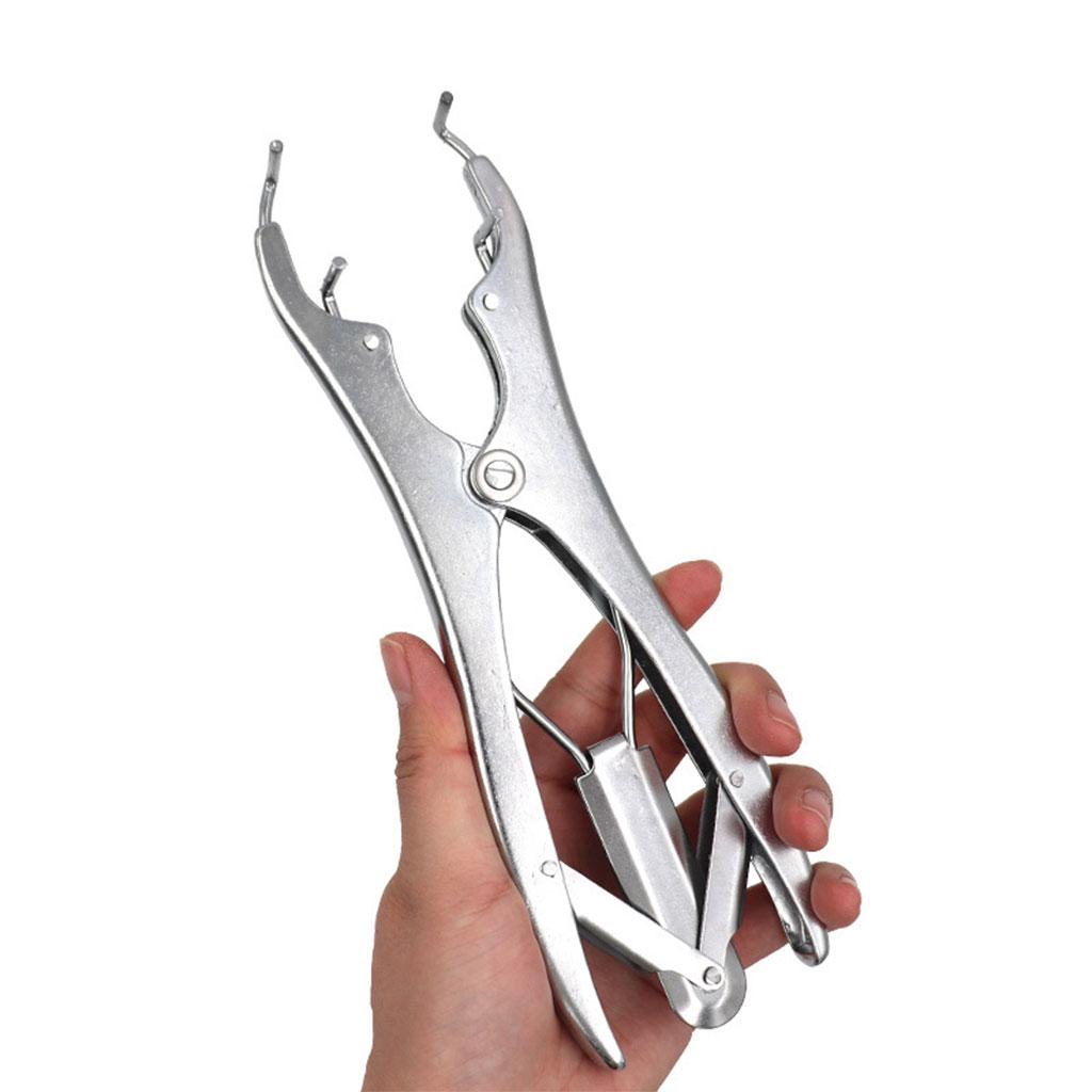 Animal Castration Pliers with 100 Pieces Rubber Rings for Lambs Piglets Stainless steel