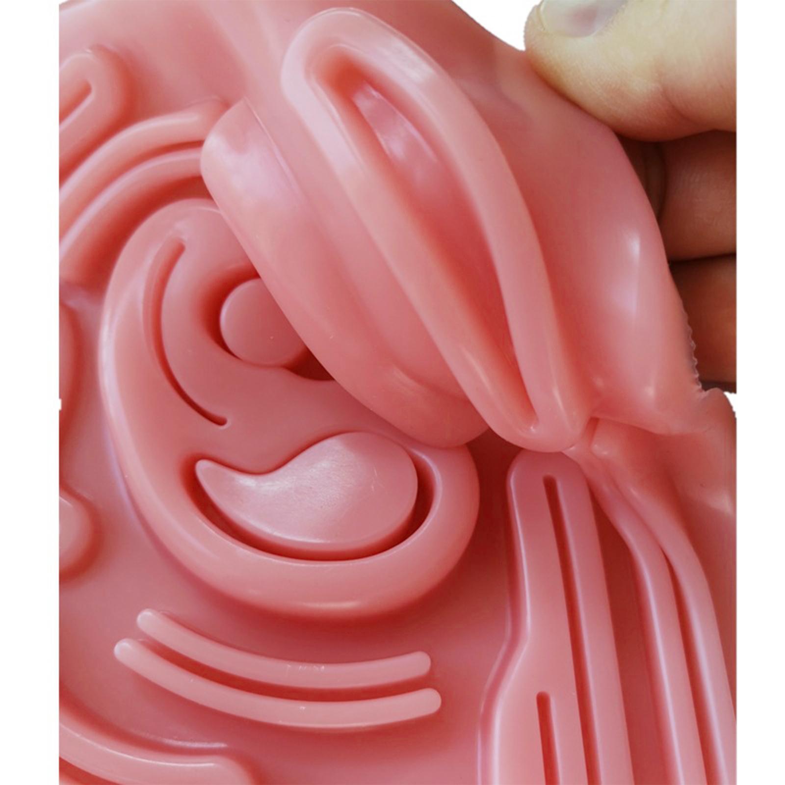 Human Abdominal Cavity Suture Pad Model Device for Practice Tool Training