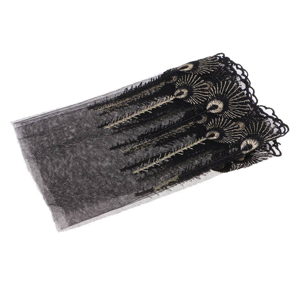 Embroidered Mesh Lace Fabric Craft Ribbon Sewing Trim DIY  Black