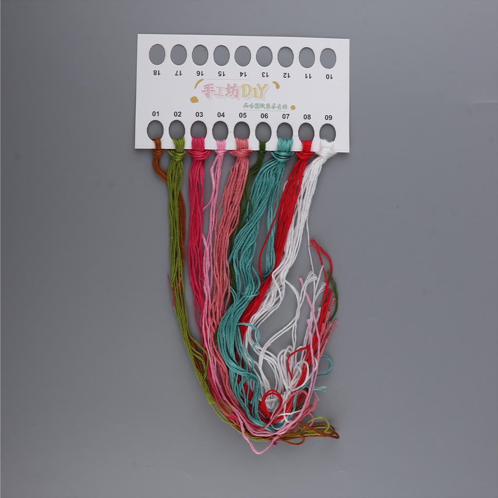 Embroidery Starter Kit Cross Stitch Kit with Bicycle Pattern for Beginners 3