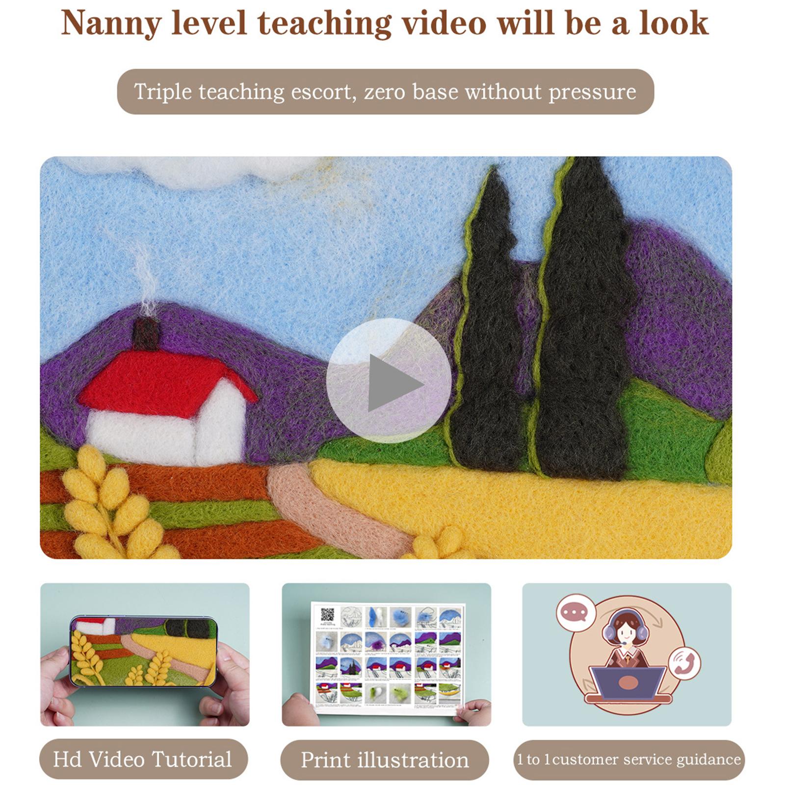 Needle Kit DIY with Instructions Painting Craft Wool Felting for Starter A