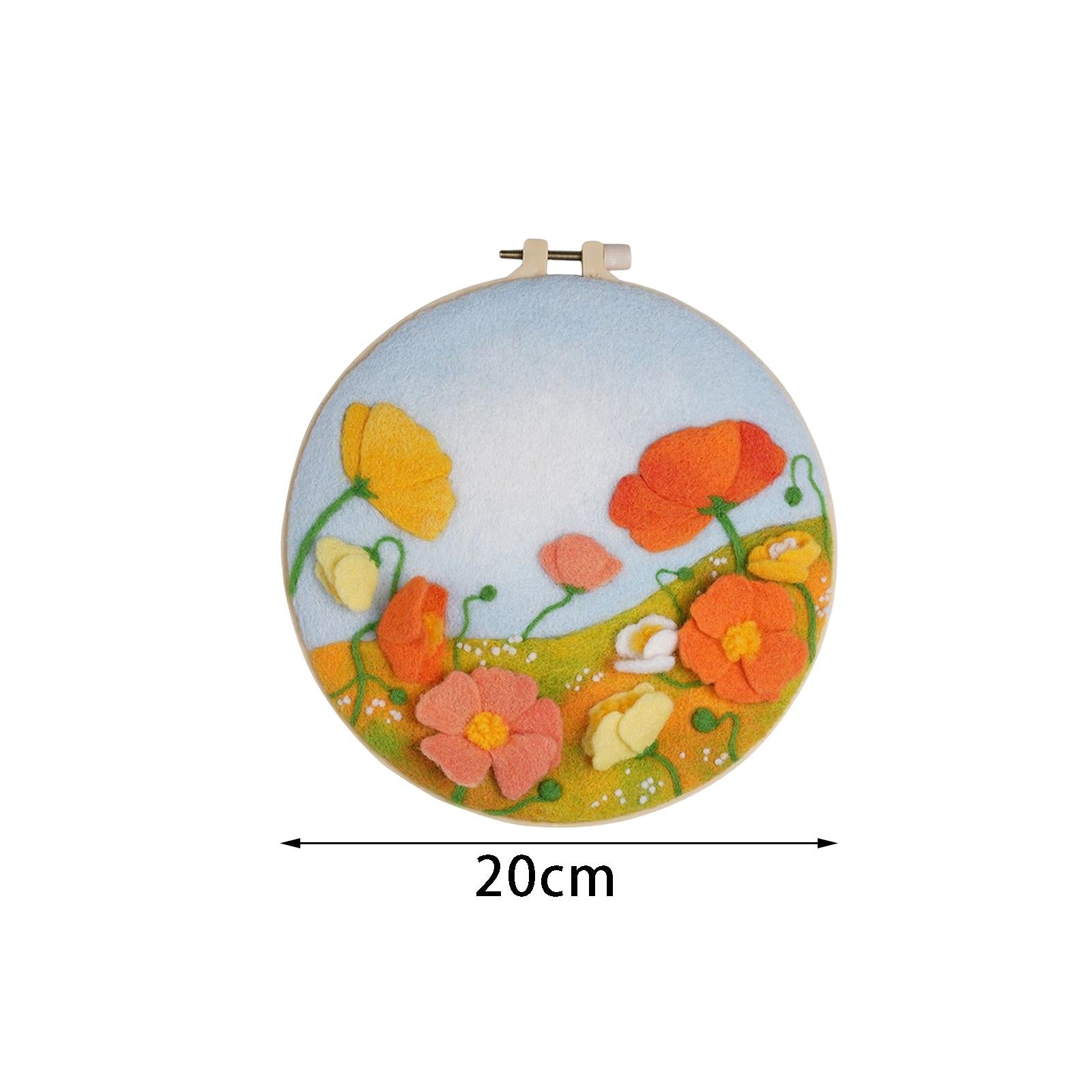 Needle Kit DIY with Instructions Painting Craft Wool Felting for Starter C