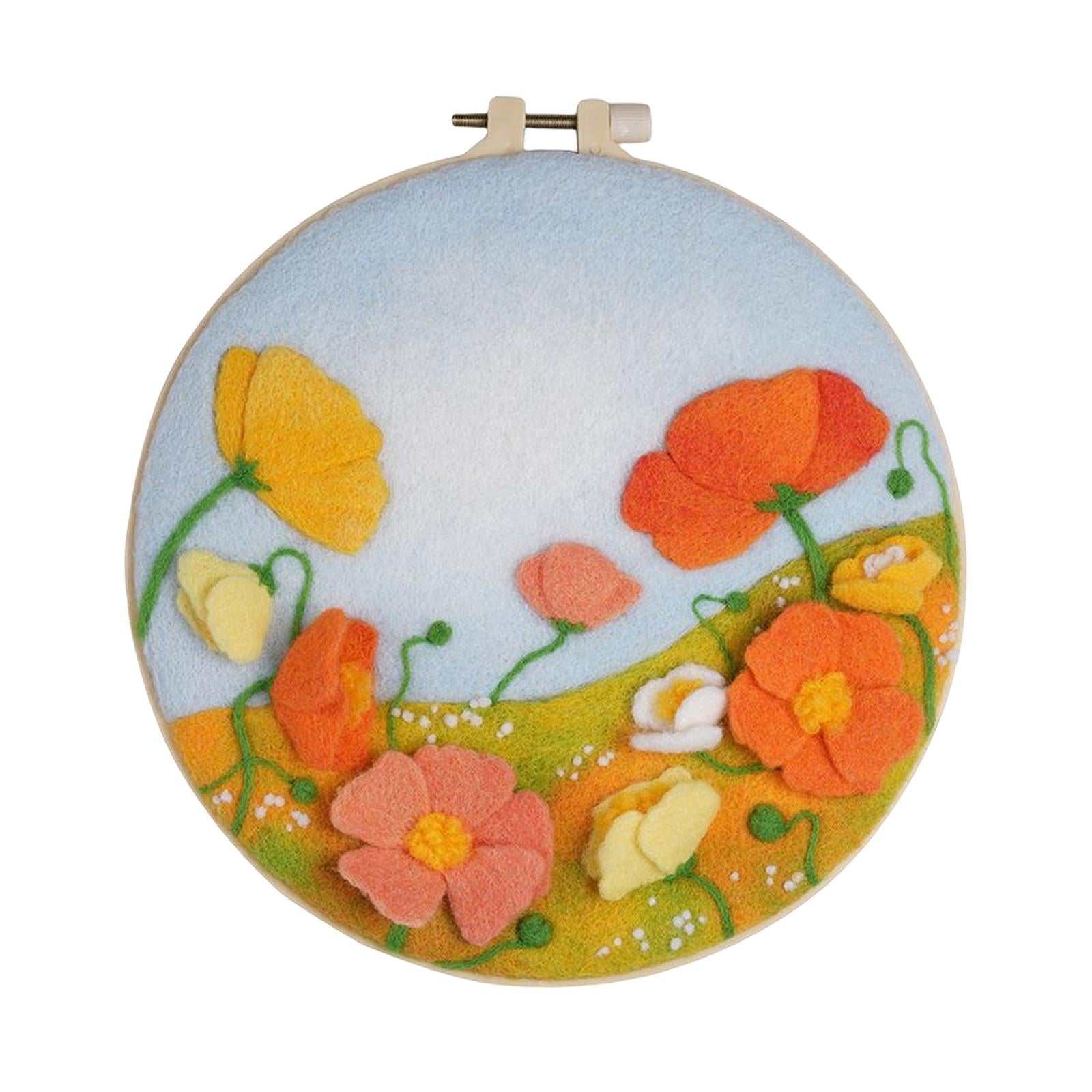 Needle Kit DIY with Instructions Painting Craft Wool Felting for Starter C