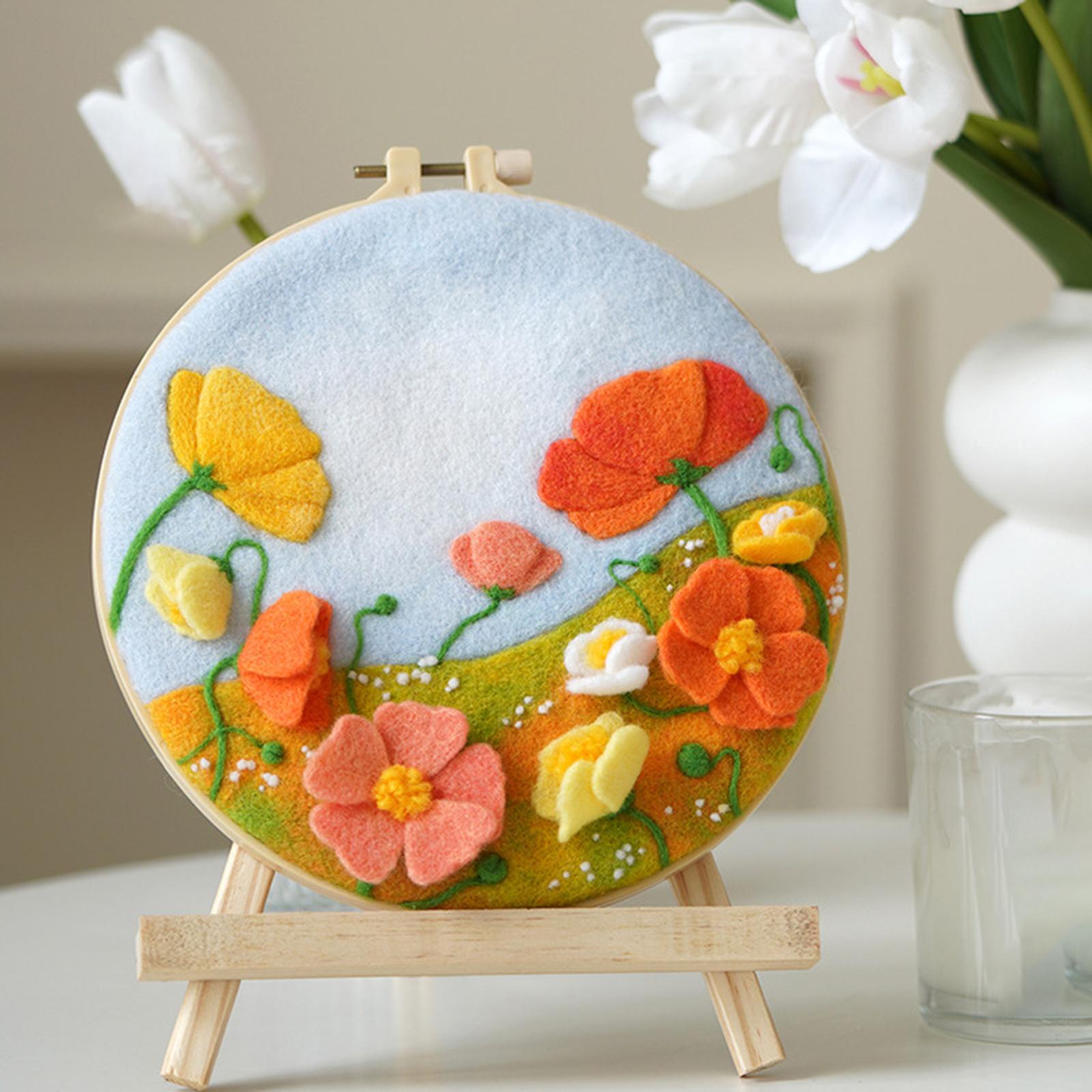 Needle Kit DIY with Instructions Painting Craft Wool Felting for Starter C