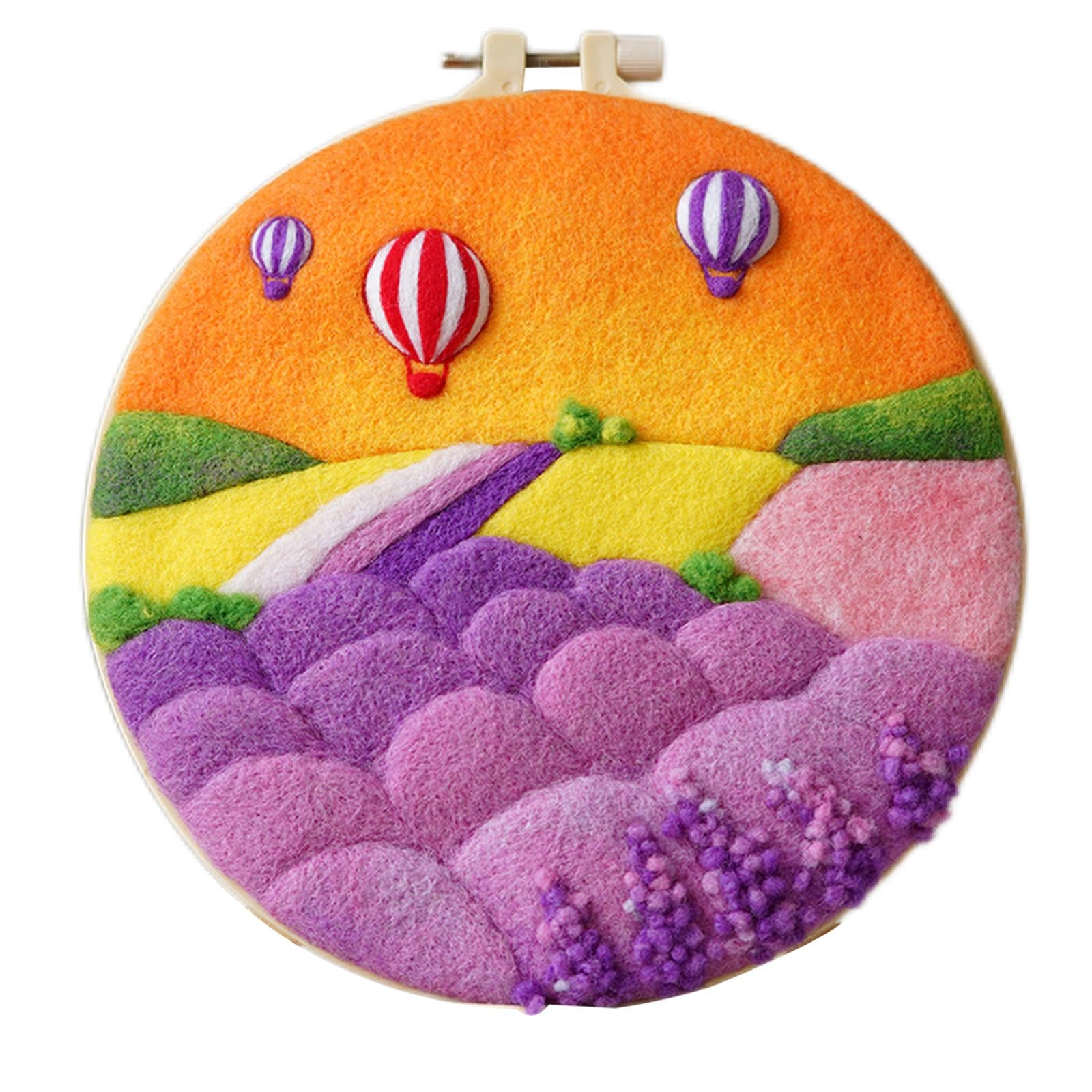 Needle Kit DIY with Instructions Painting Craft Wool Felting for Starter D