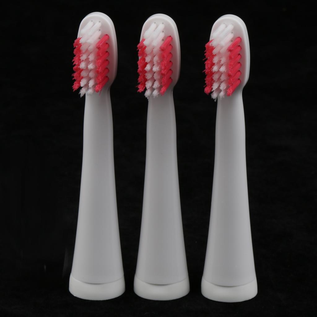 Rechargeable Electric Toothbrush Tooth Brush Set Adults US Plug Elegant Pink