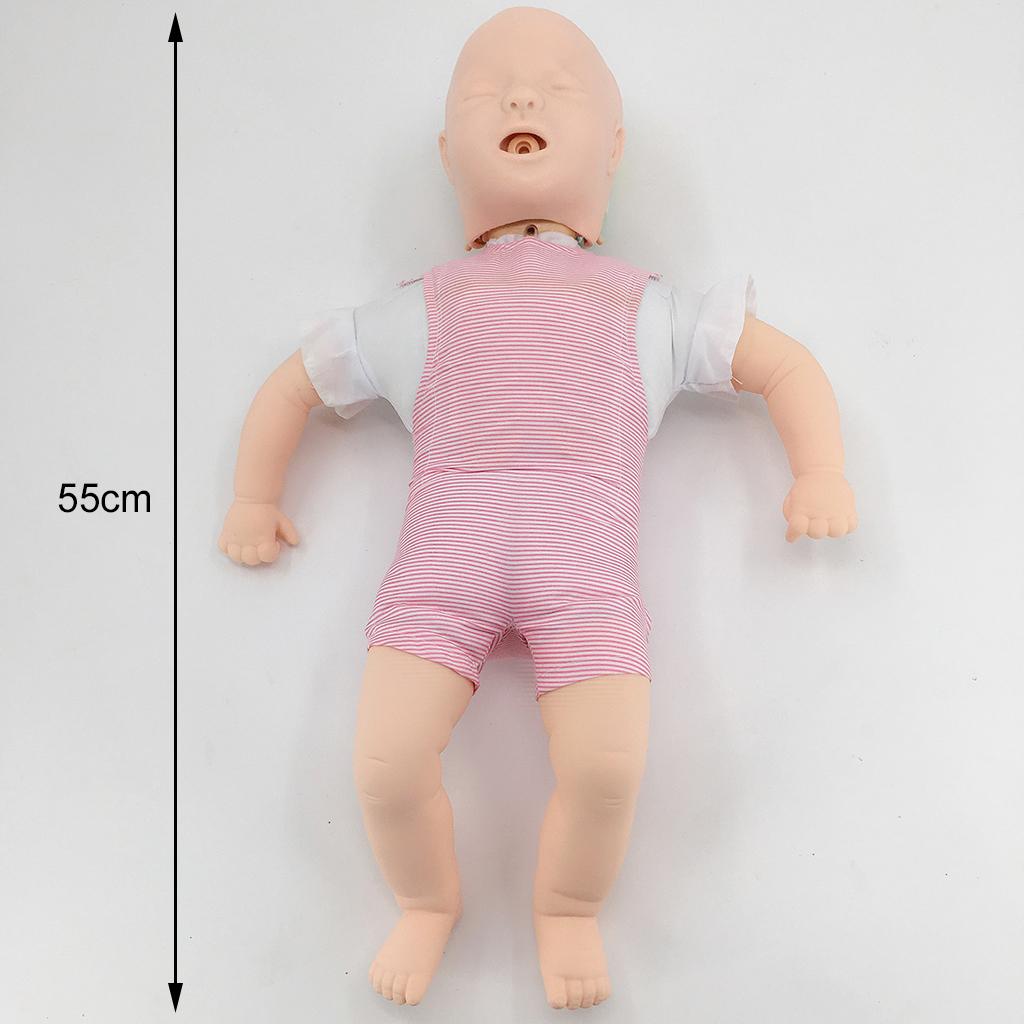 Infant Airway Obstruction Model Simulated Foreign Bodies for Teaching School