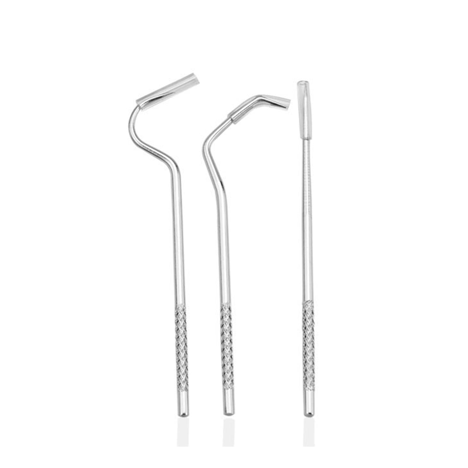 Portable Stainless Steel Toothpick Kit Traveling with Holder 3Pcs Kit
