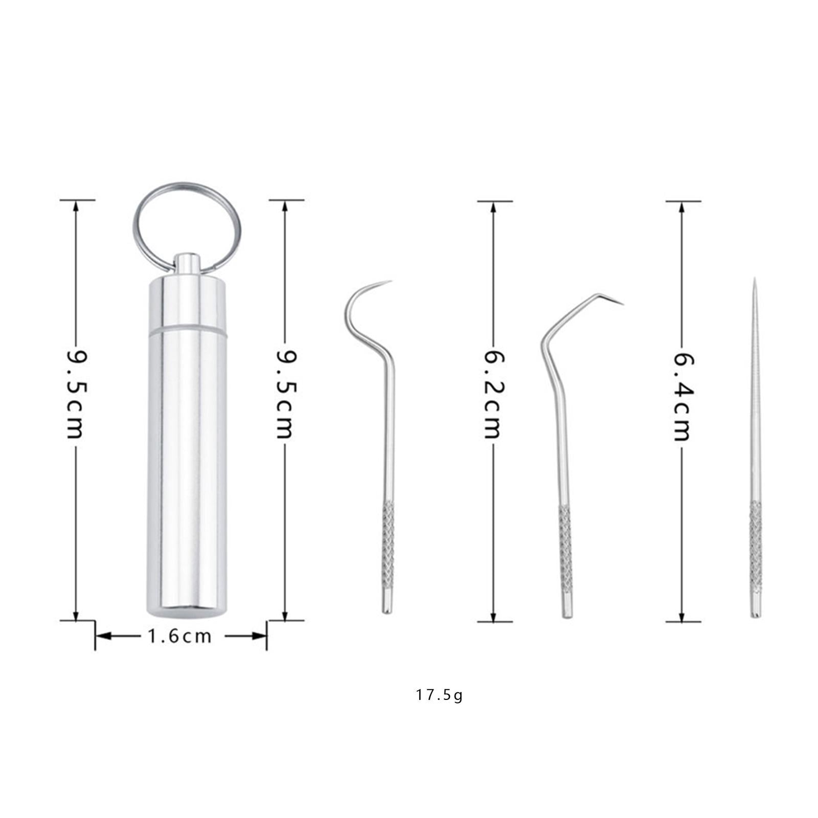 Portable Stainless Steel Toothpick Kit Traveling with Holder 3Pcs Kit