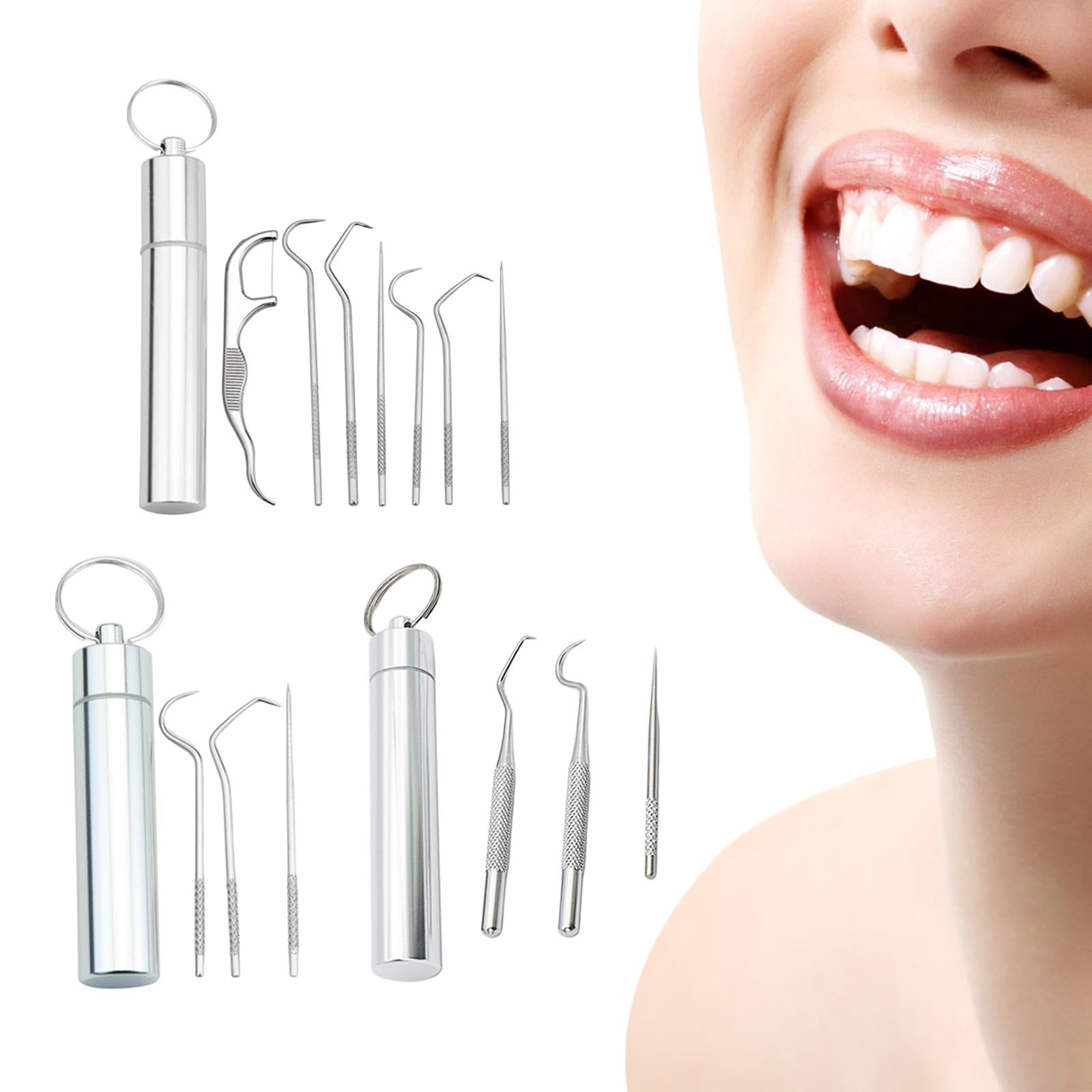 Portable Stainless Steel Toothpick Kit Traveling with Holder 3Pcs Kit