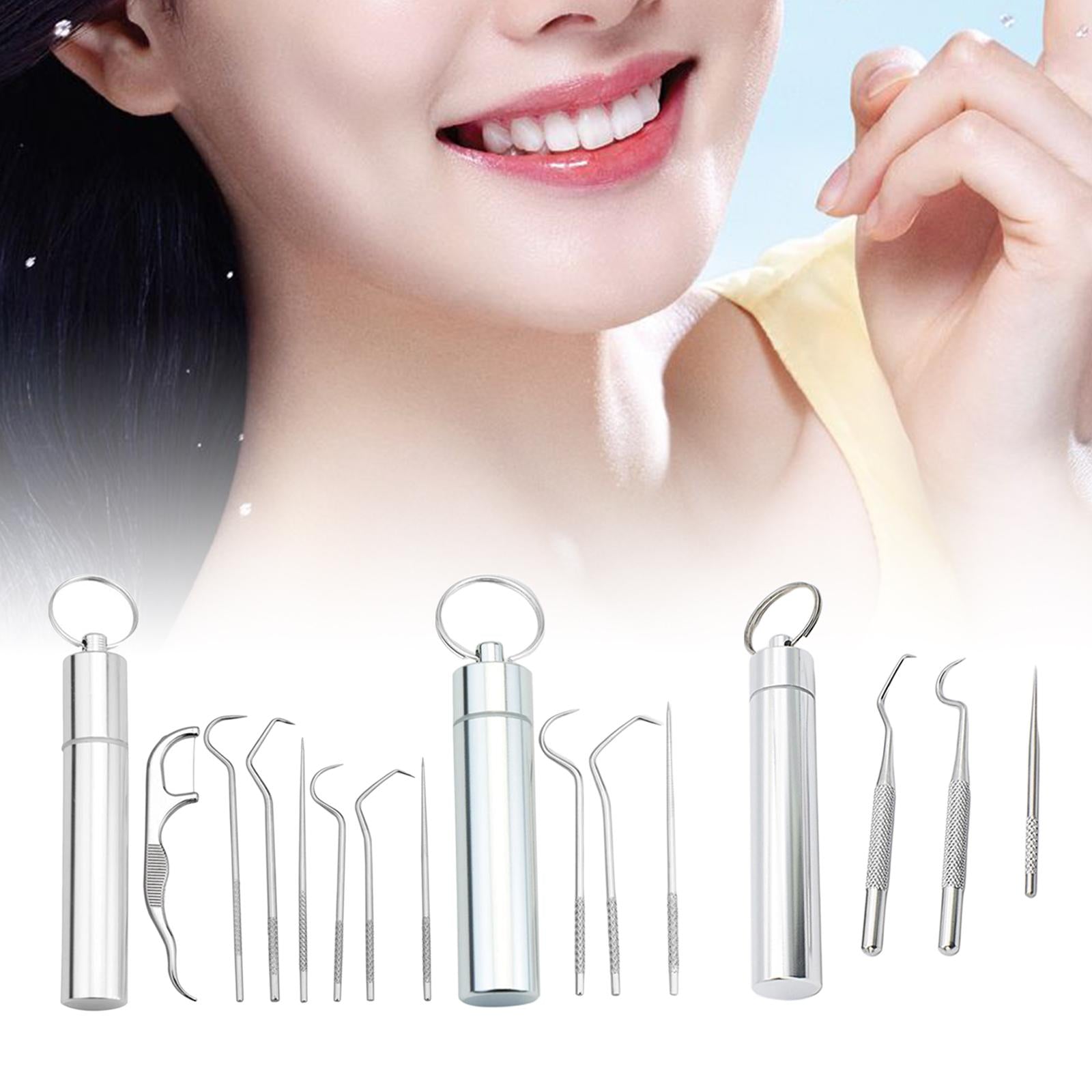 Portable Stainless Steel Toothpick Kit Traveling with Holder 3Pcs Kit