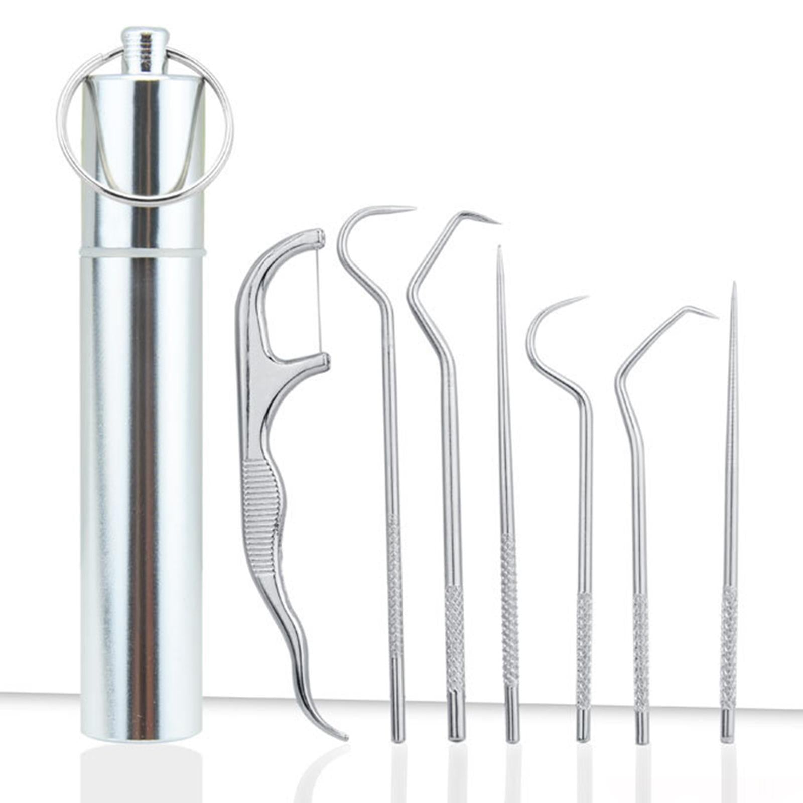 Portable Stainless Steel Toothpick Kit Traveling with Holder 7Pcs Kit